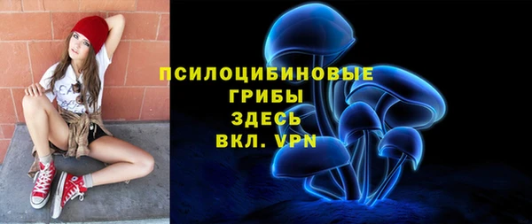 PSILOCYBIN Няндома