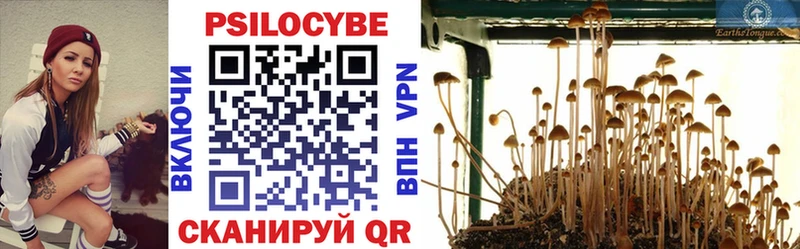 цена   Кисловодск  Псилоцибиновые грибы мицелий 