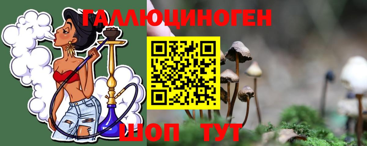 Псилоцибиновые грибы ЛСД Кисловодск